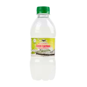Bigg Lychee 300 ML