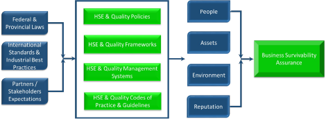 HSE Management System